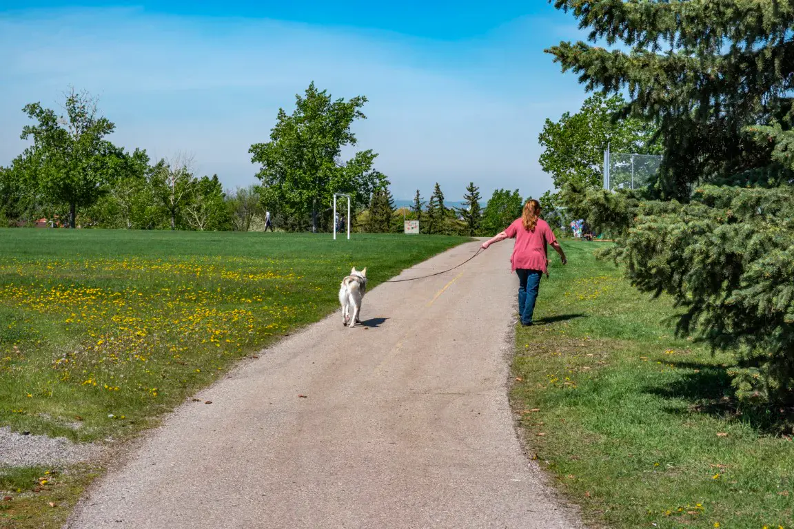 Whitehorn community scene 3